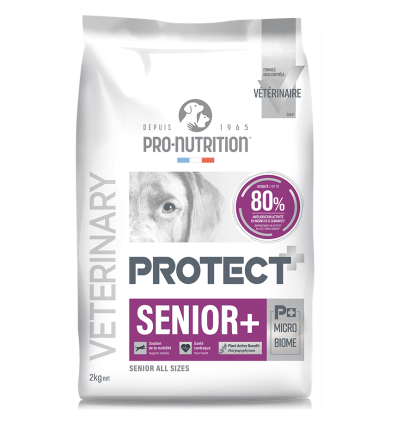 Croquette chien âgé Pro Nutrition Protect Sénior+